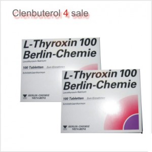 Buy T4 L Thyroxin 100 United Kingdom